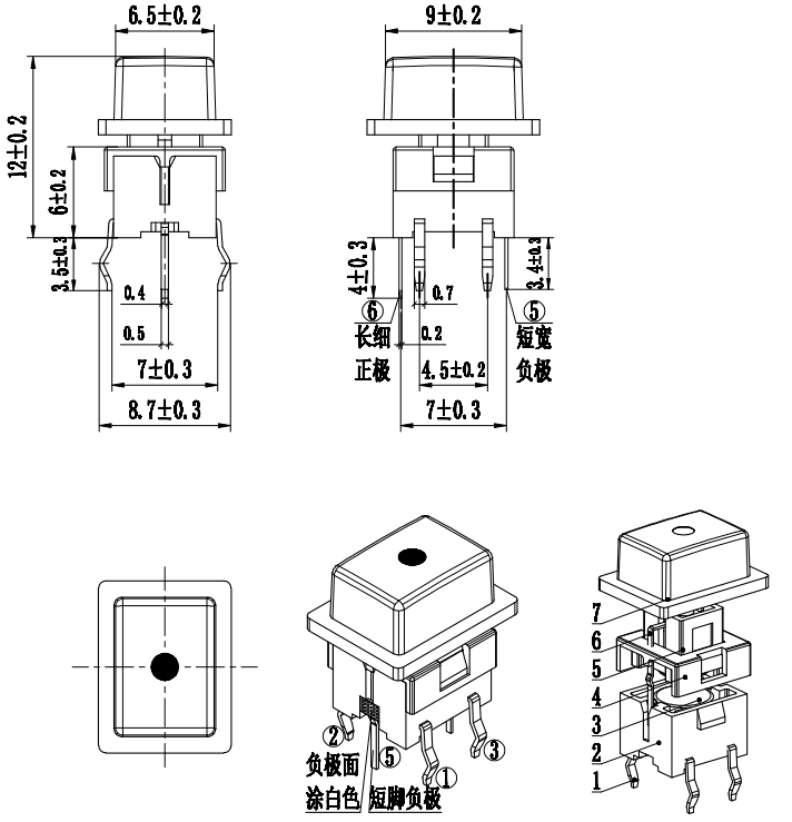 TAF01-BWJ-R  2616-160gf尺寸图